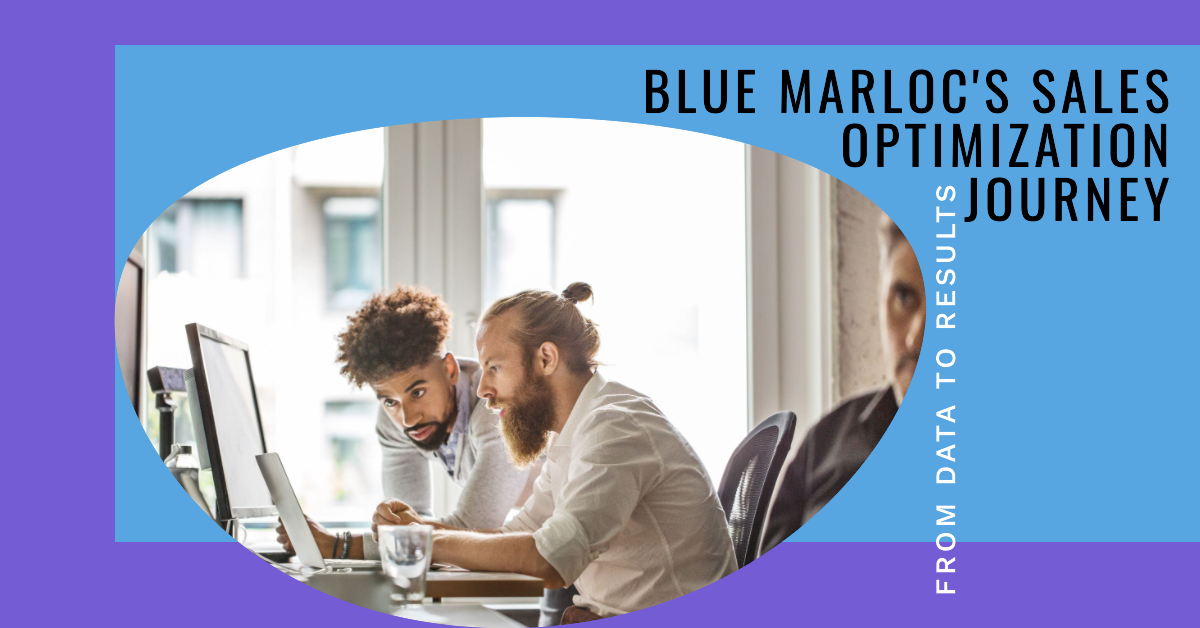 From Data to Results Blue Marloc's Journey in Sales Optimization